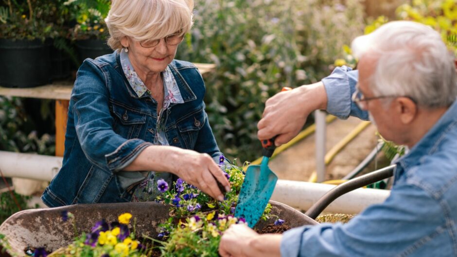 Decorating Themes for Nursing Home Bedroom