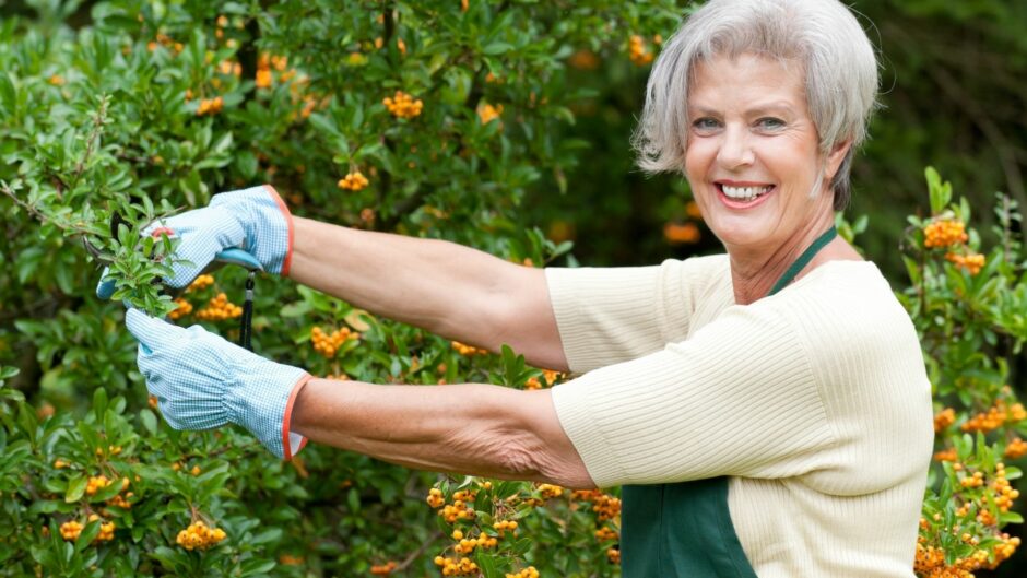 Garden Tools for Senior Citizens