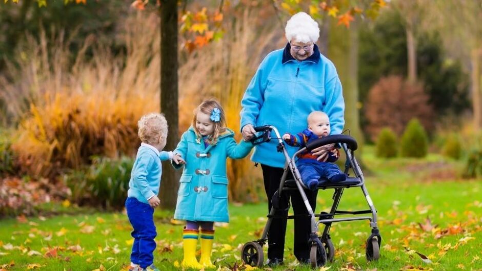 Rollator Walker Bag for Mom