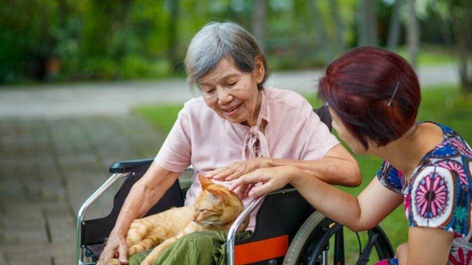 Pets for Senior Citizens