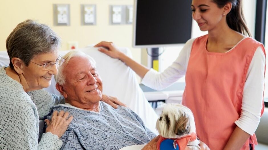 Robotic Pets for Nursing Home Patients