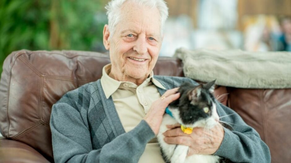 Robotic Pets for Senior Citizens Reduce Depression